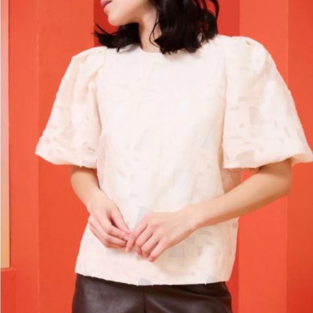 Marie Oliver Top (medium)